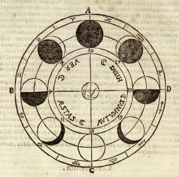 Карта солнца и луны. Метонов цикл Луны. Новолуние схема астрономия. Лунный цикл в круге. Лунный цикл рисунок.